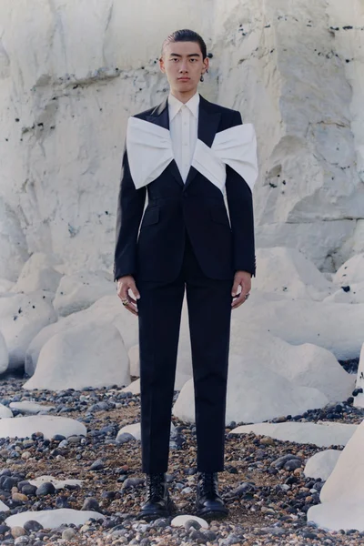Look 29